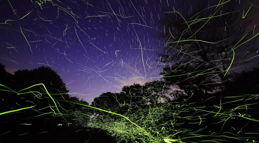 🏞️ 이치노사카 천(이치노사카가와) 이미지 10